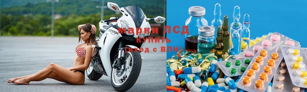дмт Дмитров