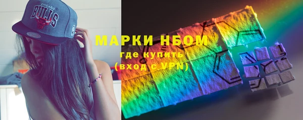 дмт Дмитров