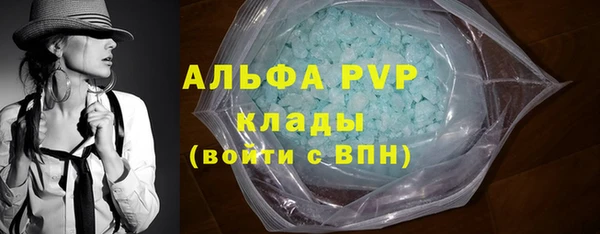 дмт Дмитров