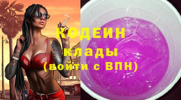 дмт Дмитров