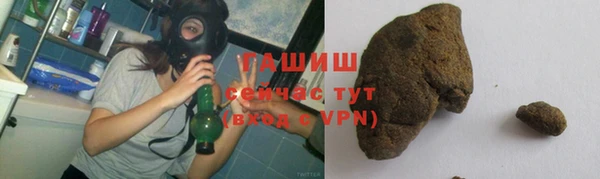 дмт Дмитров