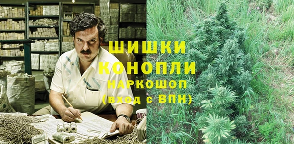 дмт Дмитров