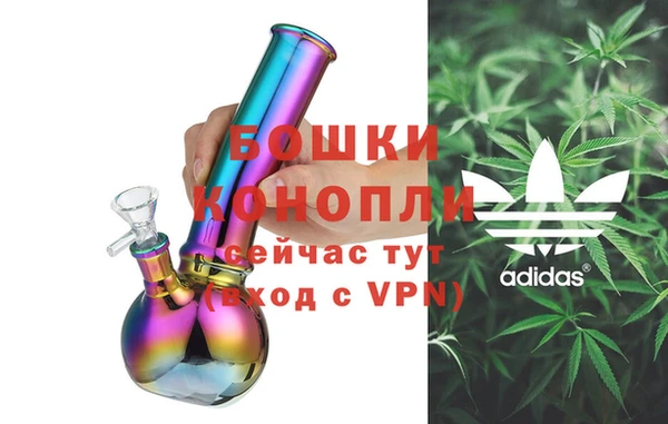 дмт Дмитров