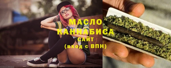 дмт Дмитров