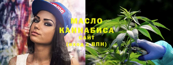 дмт Дмитров