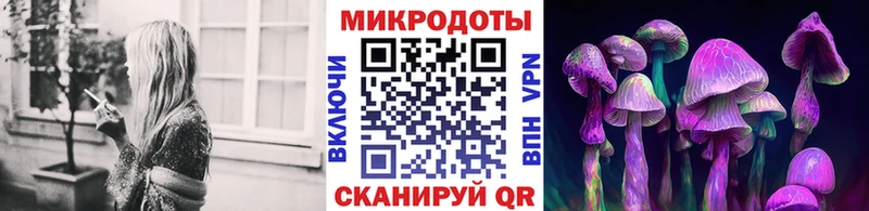 Псилоцибиновые грибы Cubensis  Купить  Тосно 